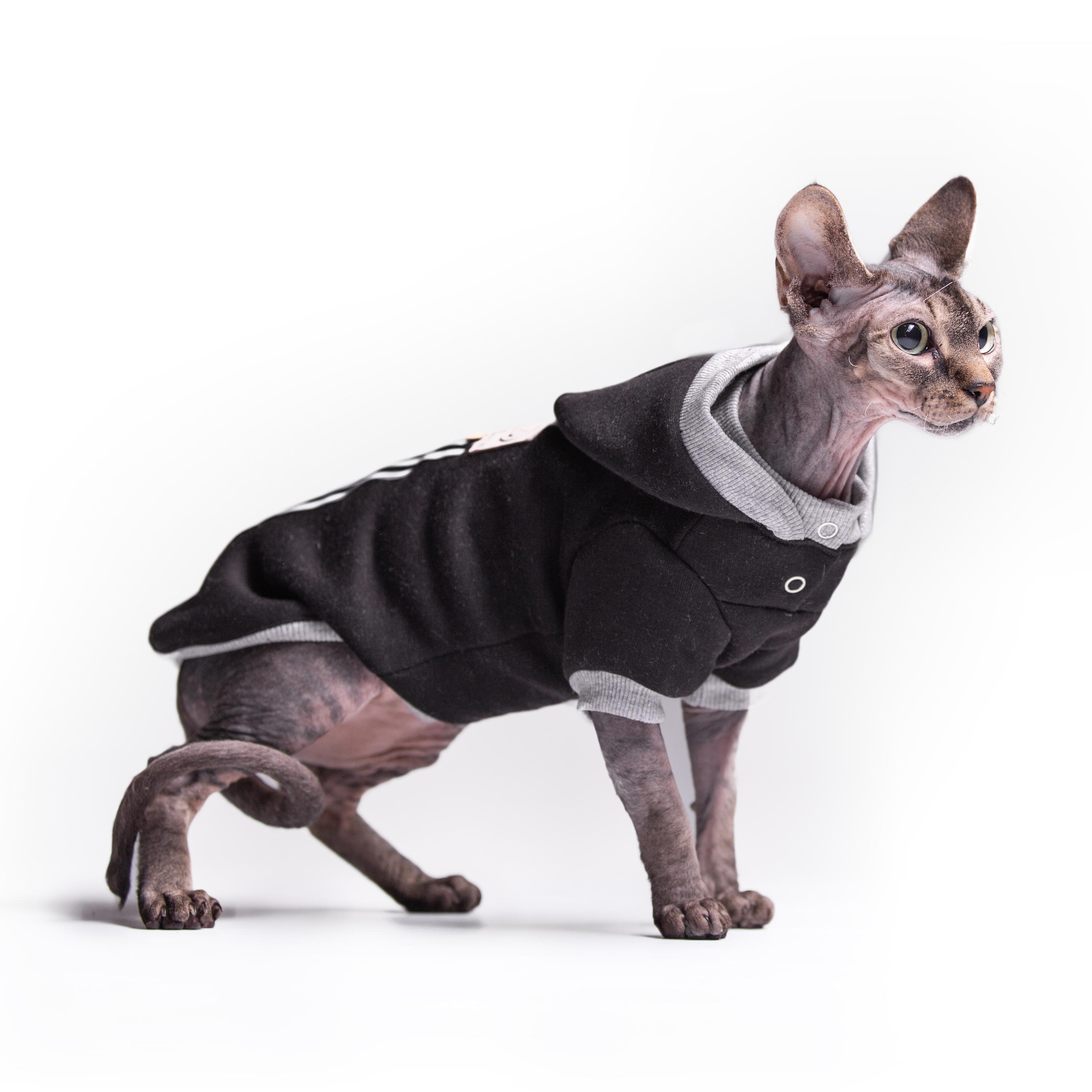 Кофта для кошек с рукавами теплая Style Pets ADS Sport XL Black (312XL)