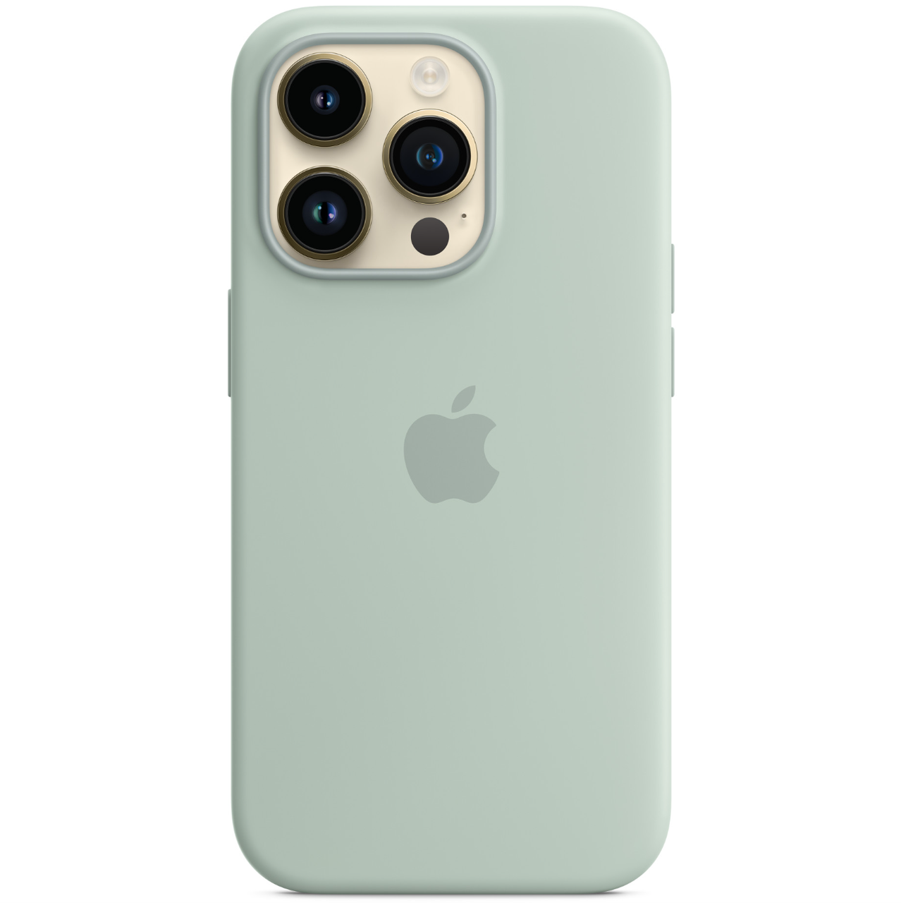 Чехол-накладка Apple Silicone Case with MagSafe for iPhone 14 Pro Max, Succulent (HС)