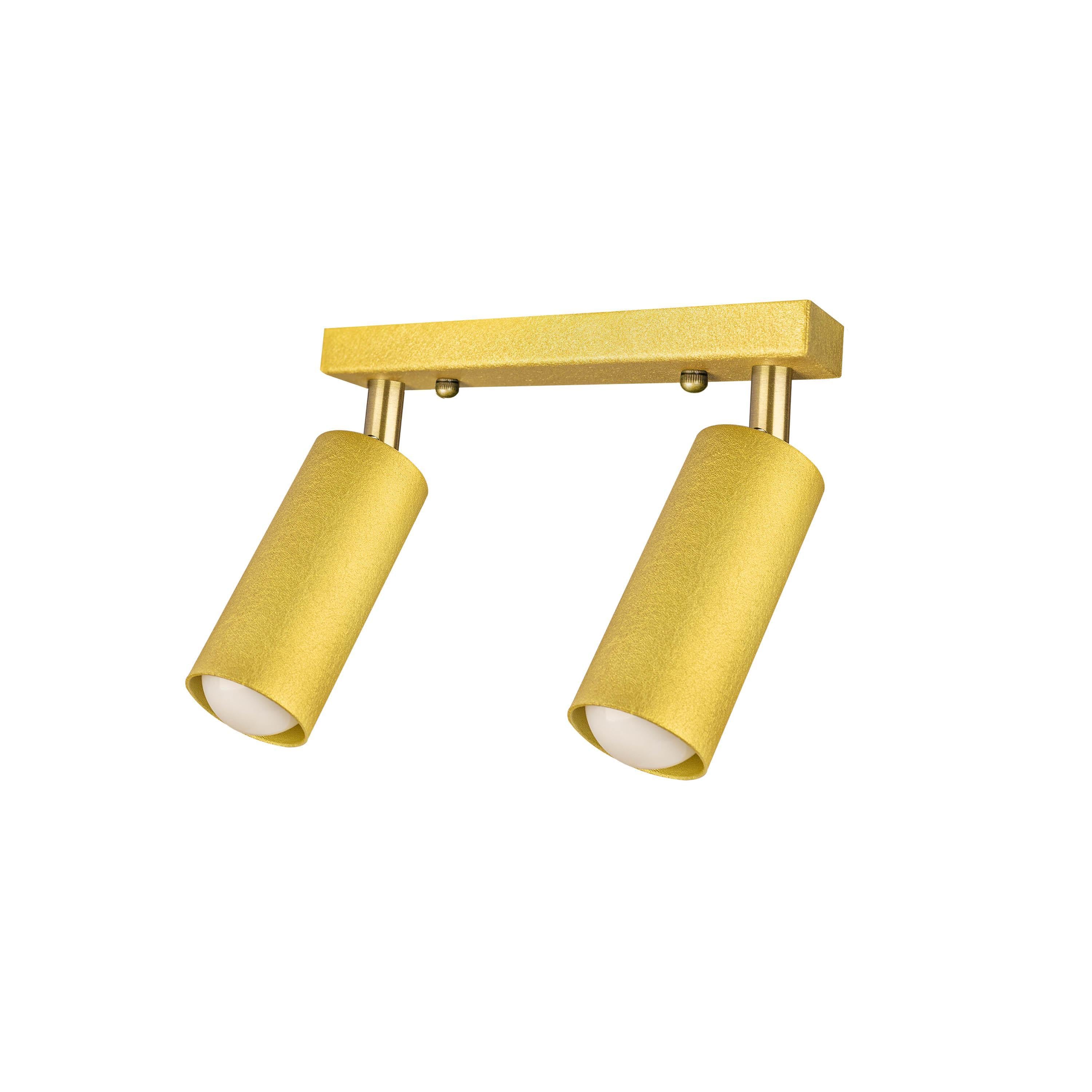 Светильник MSK Electric Tube спот с поворотными механизмами MR 1105-2  GD