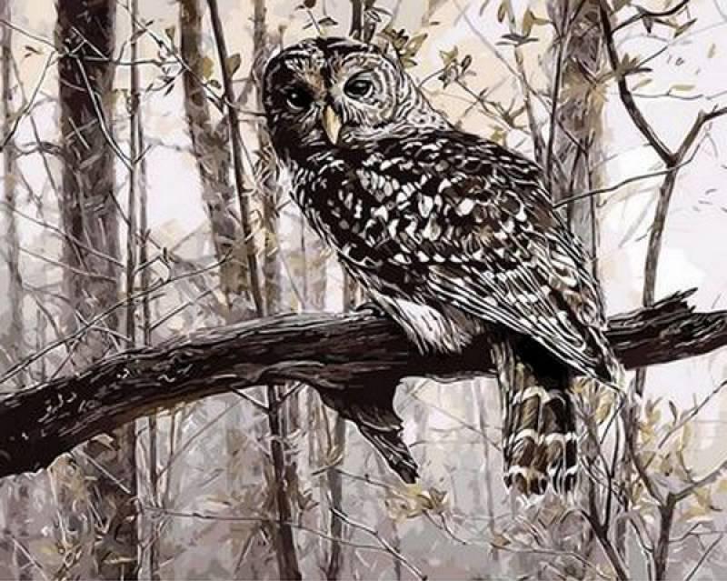Картина по номерам Mariposa Сова в зимнем лесу 40x50 см (Q639)