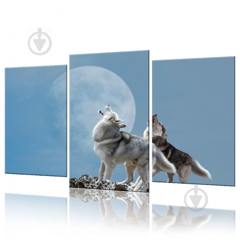 Модульная картина Пара Волков ADJ0022 размер 70 х 105 см