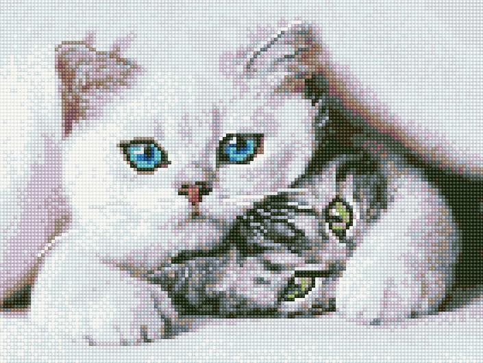 Алмазная мозаика Rainbow Art Наглый котик 30x40 см (EJ1219)