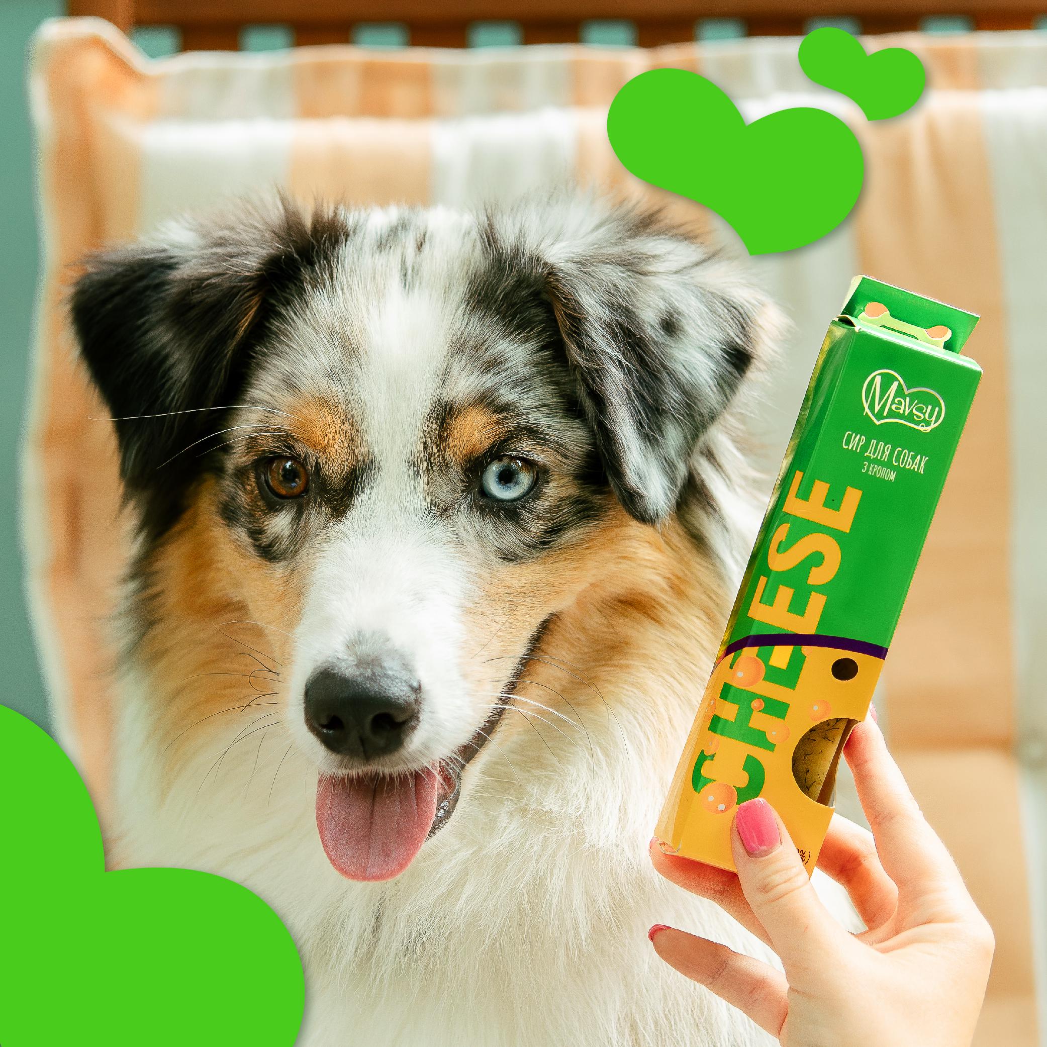 Лакомства-палочка жевательная для собак Mavsy CHEESE STICK с сыром и укропом 95 г (24628194) - фото 6 Лакомства-палочка жевательная для собак Mavsy CHEESE STICK с сыром и укропом 95 г (24628194) - фото 6