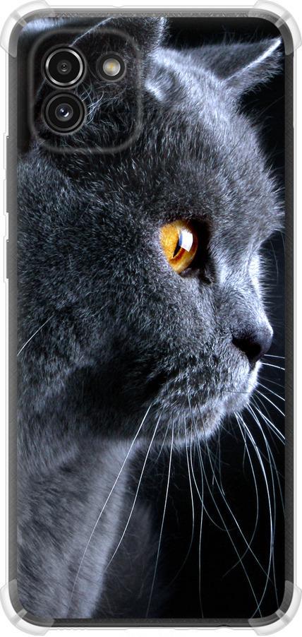 Чехол на Samsung Galaxy A03 A035F Красивый кот (3038sp-2499-42517)