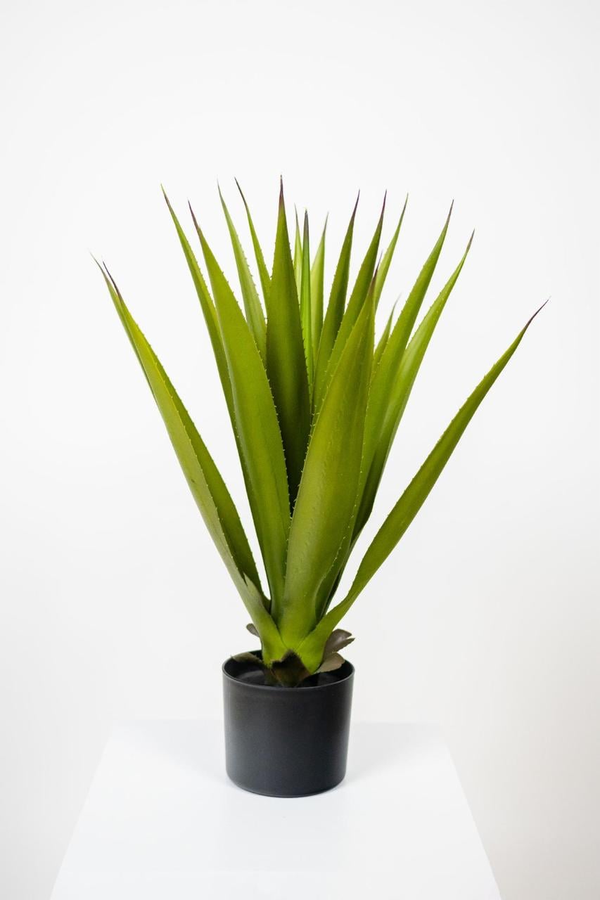 Искусственное растение Greenflowers 211883 Юка 65 см