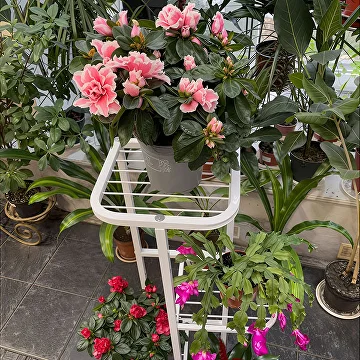 Подставка для растений 87х42х22 см (C01669) - фото 9 Подставка для растений 87х42х22 см (C01669) - фото 9