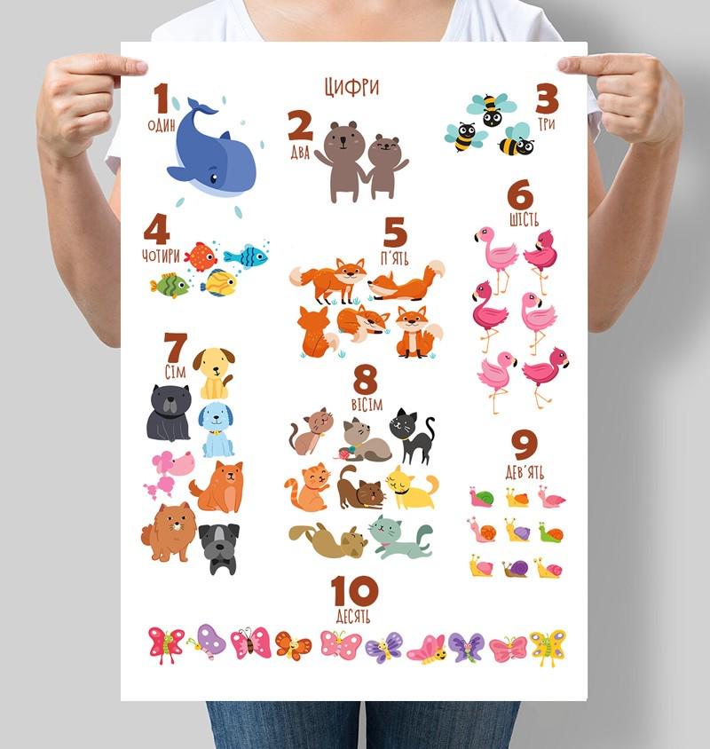 Постер Учим цифры на украинском языке 42x60 см A2 без рамки (D019_A2)