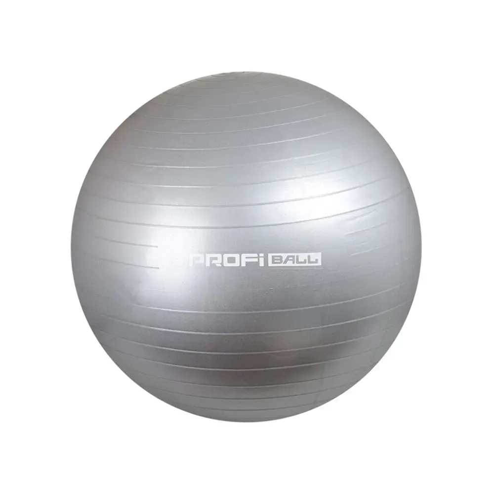 Фитбол PROFIBALL M0276GRY резиновый 65 см Серый (151-98-M0276GRY)