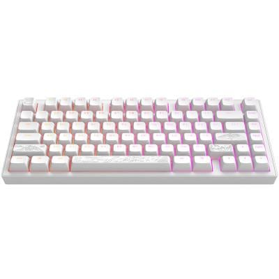 Клавіатура Dark Project ALU81 Terra Nostra PBT RGB Mech G3MS Moonstone White (DPKB_NOSTRA_81_ANSI_WHITE_UA)