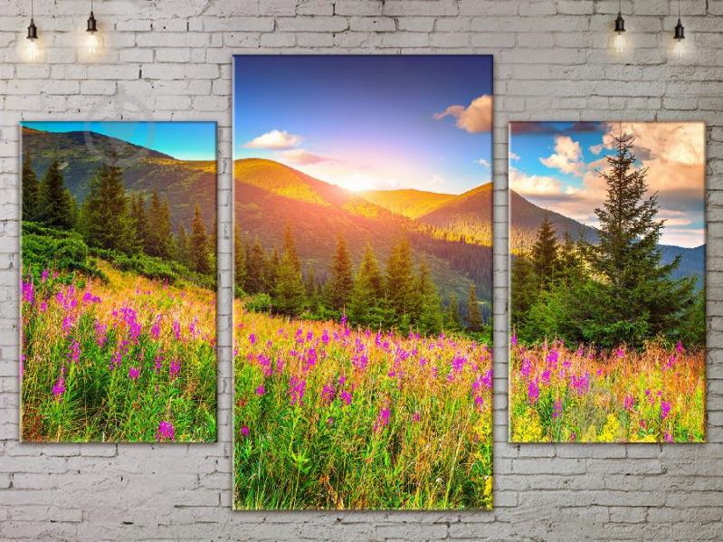 Модульная картина ArtStar ADNA0096 размер 45 х 70 см