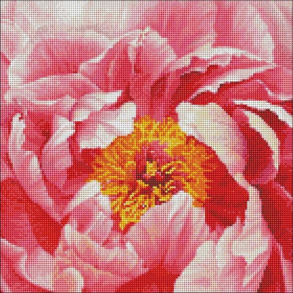 Алмазная мозаика Идейка Красочный пион 40x40 см (Id-AMO7273)