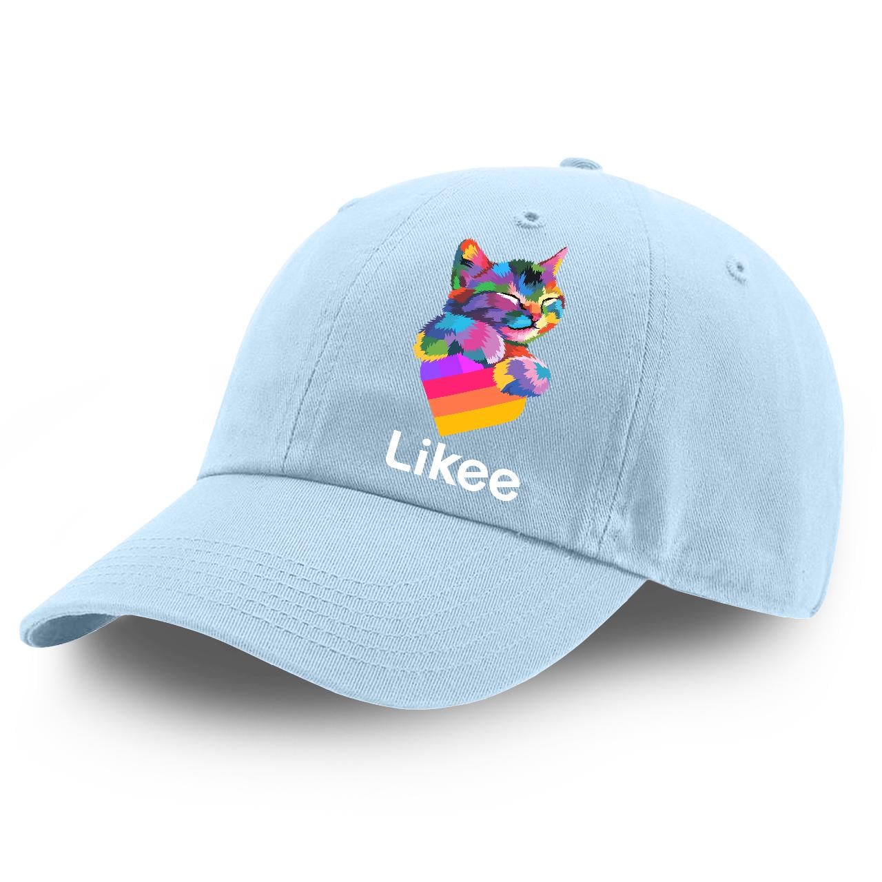 Кепка детская Likee Cat Голубой (9273-1040-SK)