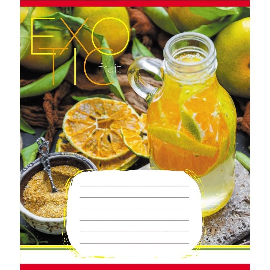 Шкільний зошит Екзотичні фрукти 048-590098K-3 в клітинку 48 аркушів (RLT55349)