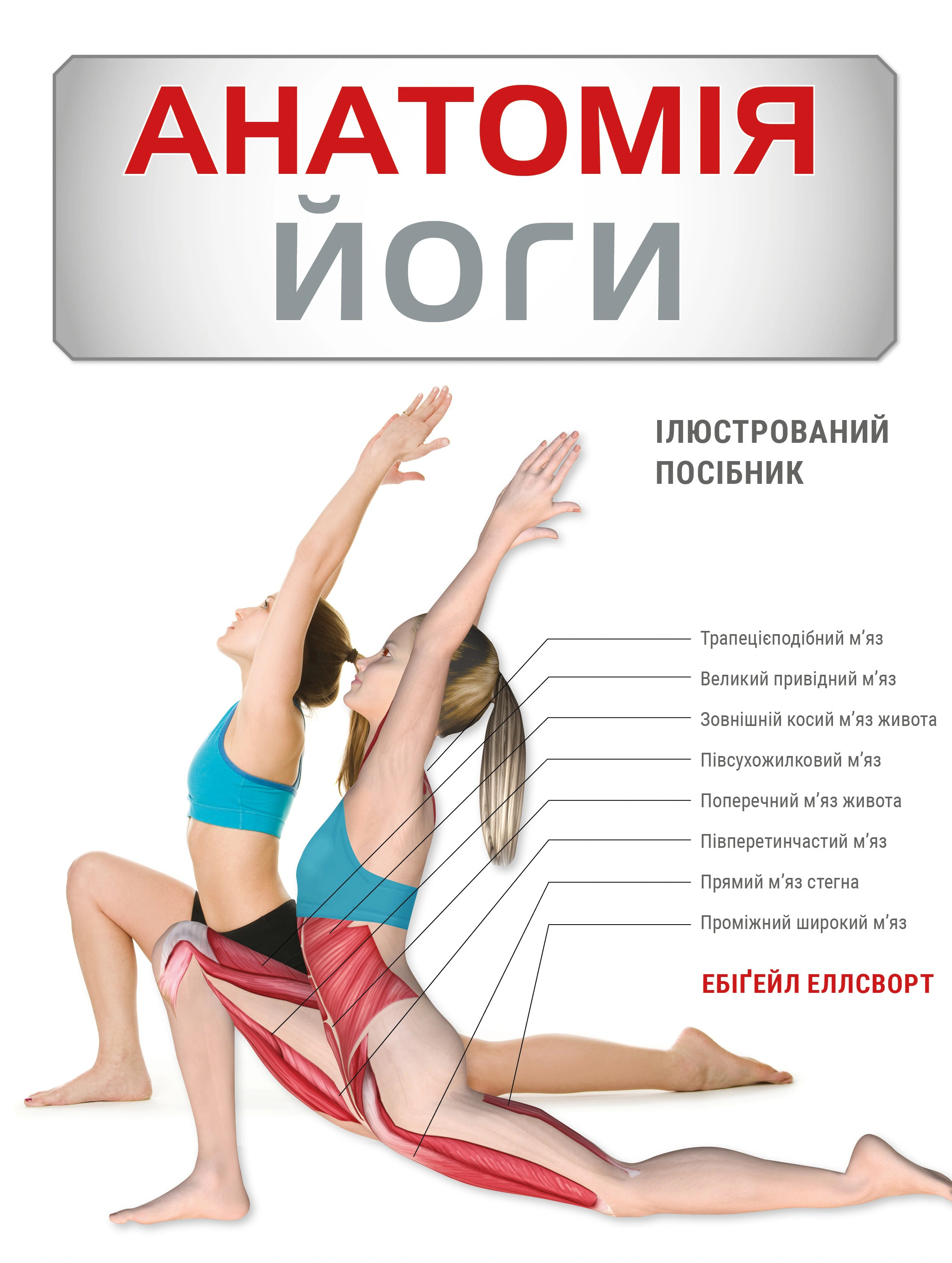 Книга "Анатомія йоги. Ілюстрований посібник" 9786175485156 Книга "Анатомія йоги. Ілюстрований посібник" 9786175485156