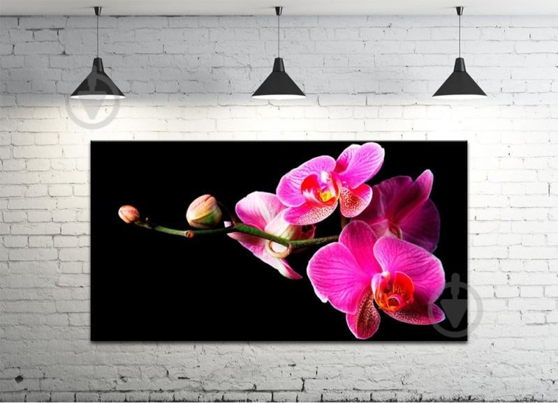Картина на холсте ProfART S50100-c2 100 x 50 см Цветы (hub_OWGT50582)