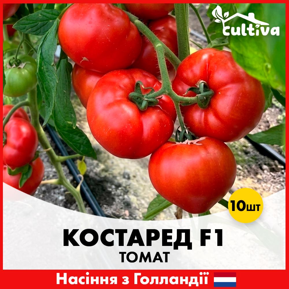 Насіння томату Rijk Zwaan Костаред F1 10 шт. (R51176)