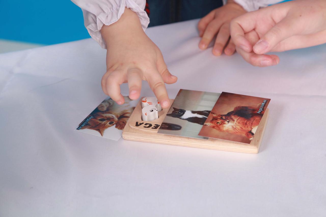 Рамка-вкладыш HEGA Коты с объёмными фигурками (125) - фото 5 Рамка-вкладыш HEGA Коты с объёмными фигурками (125) - фото 5