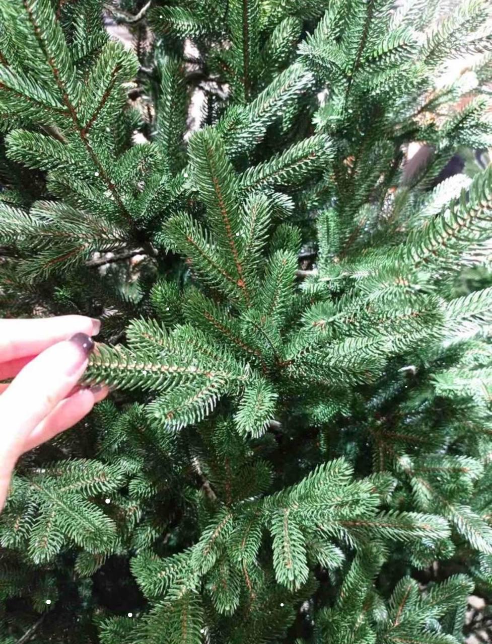 Штучна ялинка новорічна Віденська лита 2,30 м з металевою підставкою Зелений (21626487) - фото 4