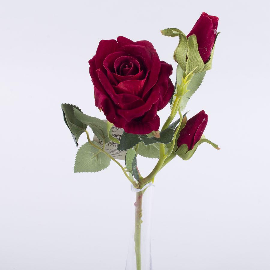 Роза бархатная Красный (1340)