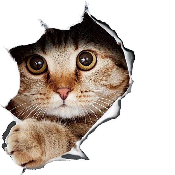 Декоративная наклейка на стену коты 5 шт. (Y01299) - фото 2