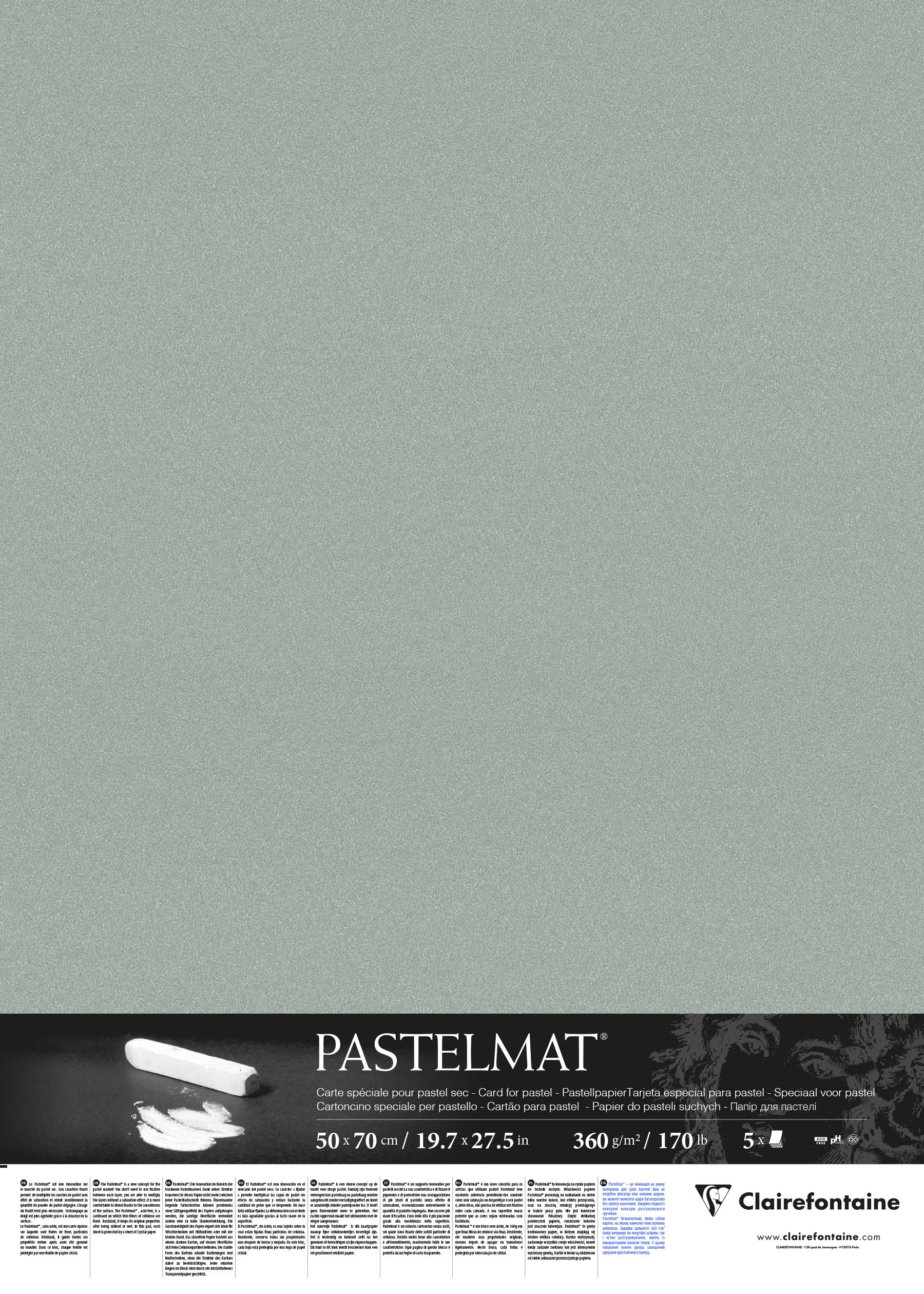 Аркуш Clairefontaine Pastelmat 50х70 см Light Green (96157)