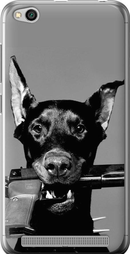 Чехол на Xiaomi Redmi 5A Доберман (2745u-1133-42517)