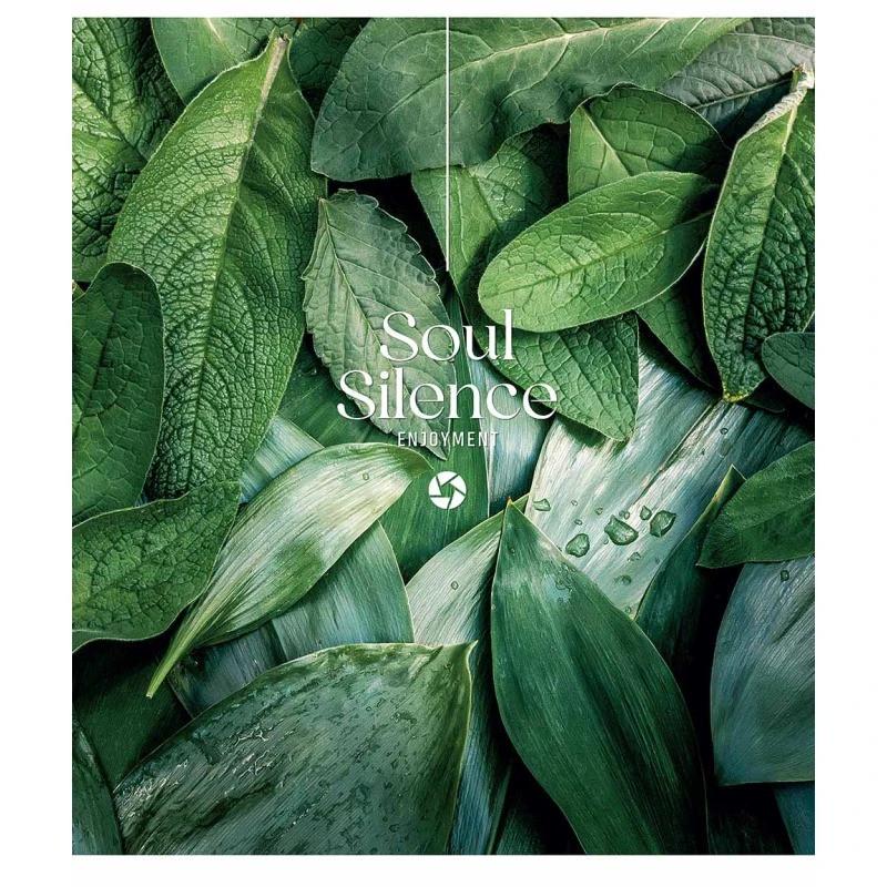 Шкільний зошит Silence 096-3358L-5 у лінію 96 аркушів (RLT43481)