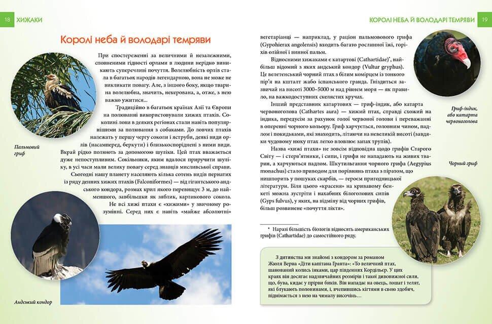 Енциклопедія "Хижаки" Талант Тверда Обкладинка Автор Андрій Гапченко (9789669355874) - фото 6