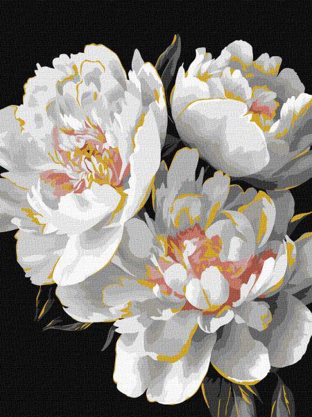 Картина по номерам Ideyka Белоснежные бутоны с красками металлик 30x40 см (Id-KHO3297)