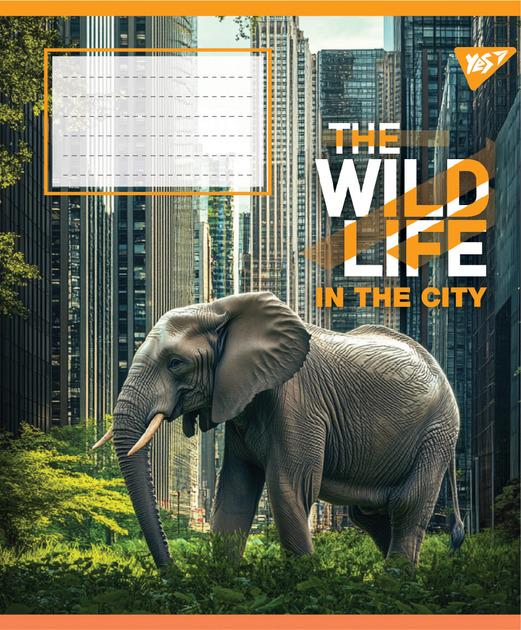 Зошит учнівський YES The wild in the city А5/36 кл. (767766)