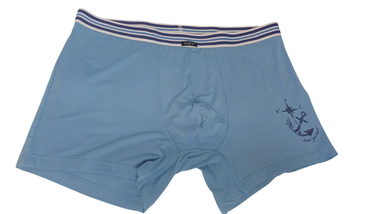 Трусы боксеры мужские Key MXH 779 A24 NI XL 1 шт. Голубой (5904765673200)