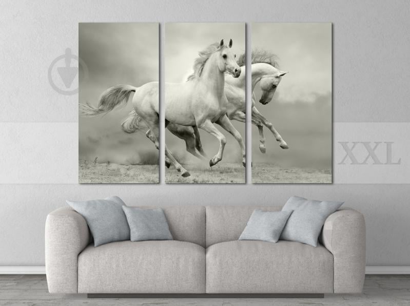 Модульна картина Poster-land Білі Коні Art-125_XXL