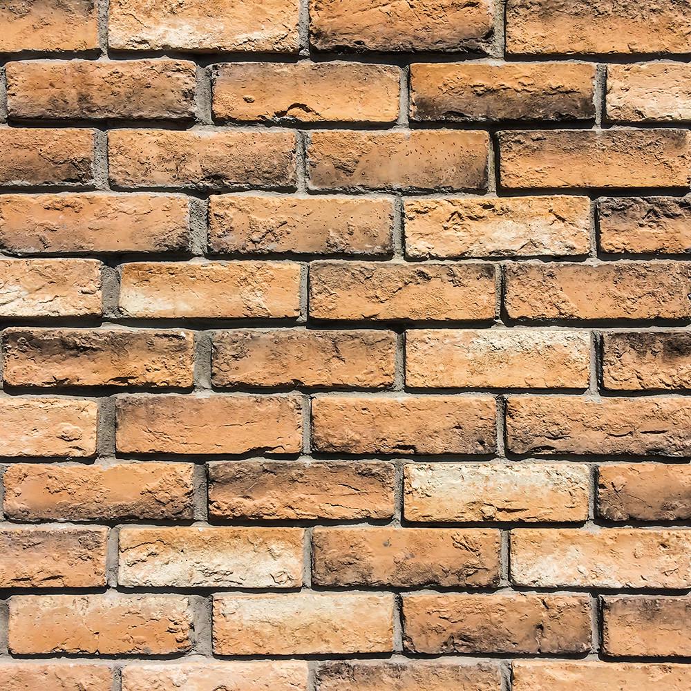 Фотофон виниловый Frontlit 100x100 см 450 г/м2 55615 Фотофон виниловый Frontlit 100x100 см 450 г/м2 55615