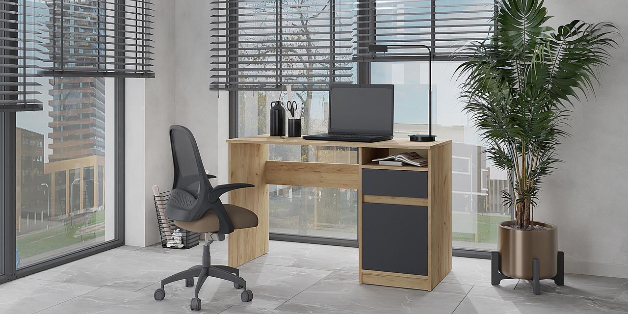 Письмовий стіл Компаніт Аспирант 120,4х53,4х75,4 см Дуб крафт комби (24763270)