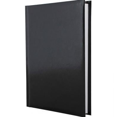 Ежедневник недатированный Economix Flash A5 320 стр. Черный (E22003-01)