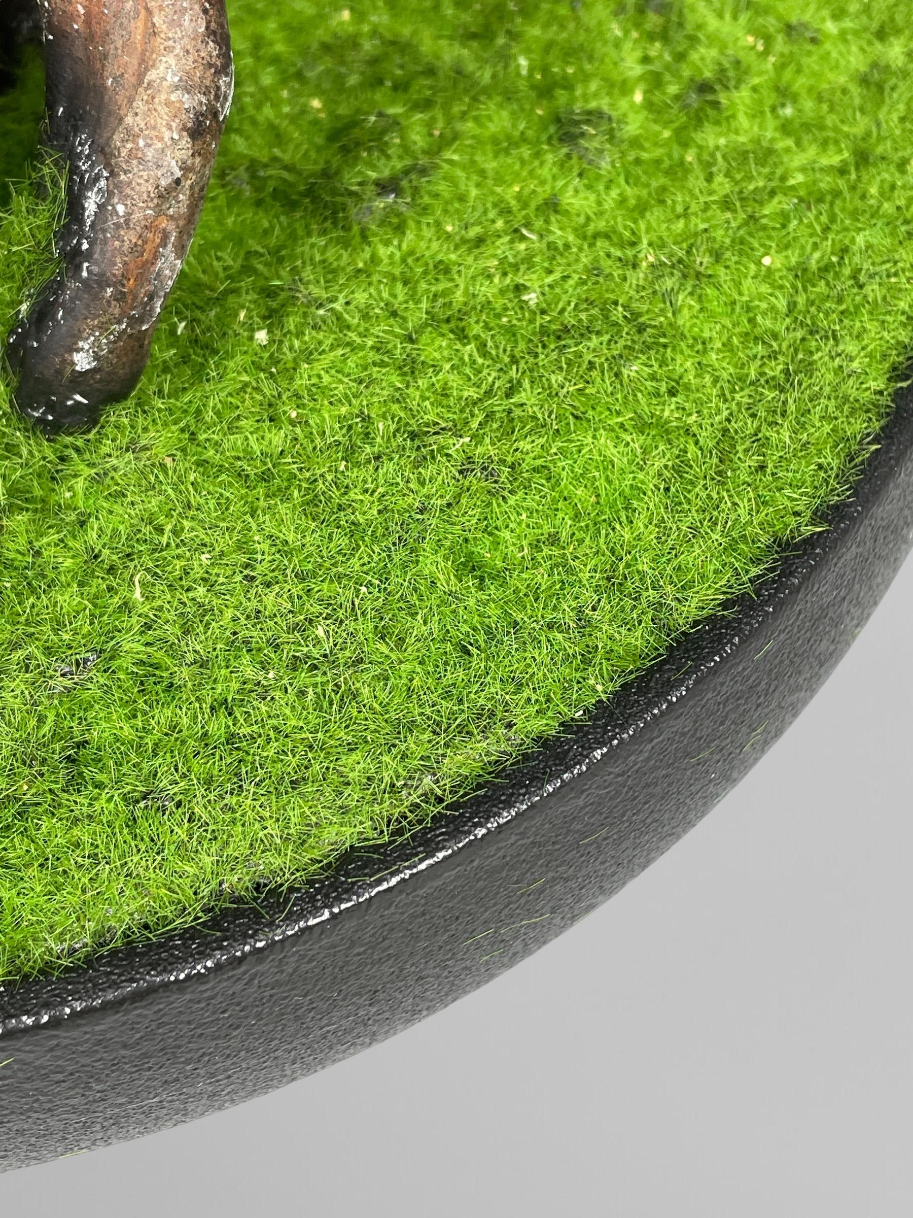 Бонсай 51 см Зеленый (Б010) - фото 6 Бонсай 51 см Зеленый (Б010) - фото 6