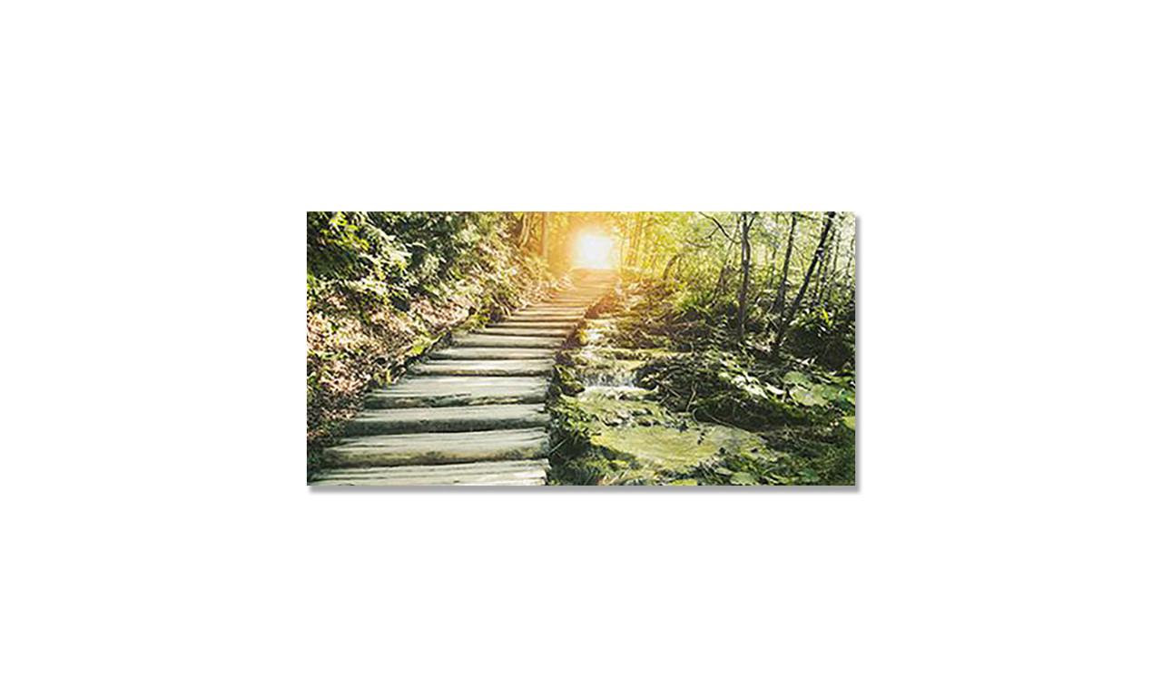 Наклейка виниловая на стол Zatarga Старый лес 600х1200 мм (1274514135)