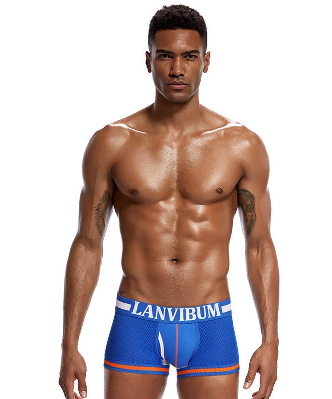 Трусы Lanvibum L Синий (5558)