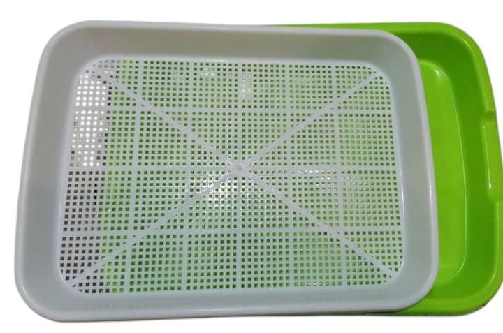 Контейнер для микрозеленых с сеткой для гидропонного выращивания 24х32,5х4 см Контейнер для микрозеленых с сеткой для гидропонного выращивания 24х32,5х4 см