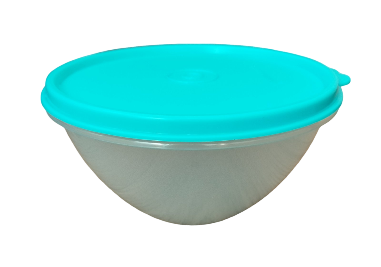 Пищевой контейнер-чаша Tupperware Брауни 600 мл (36234080)