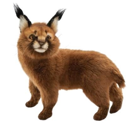 М'яка іграшка Hansa Кіт Каракал що стоїть 30х36 см