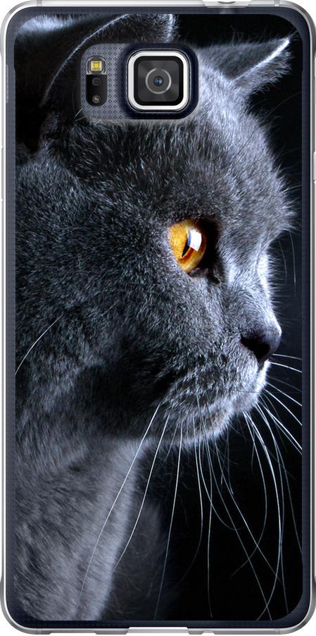 Чехол на Samsung Galaxy Alpha G850F Красивый кот (3038u-65-42517)