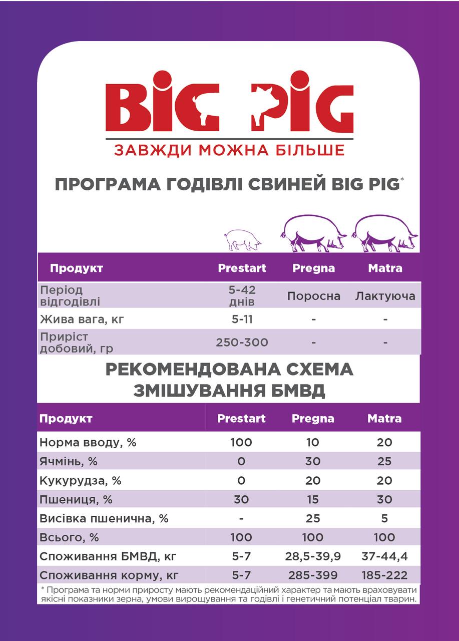 Комбикорм БМВД для поросных свиноматок Agroprogres Прегна 10% 25 кг (1880241318) - фото 3