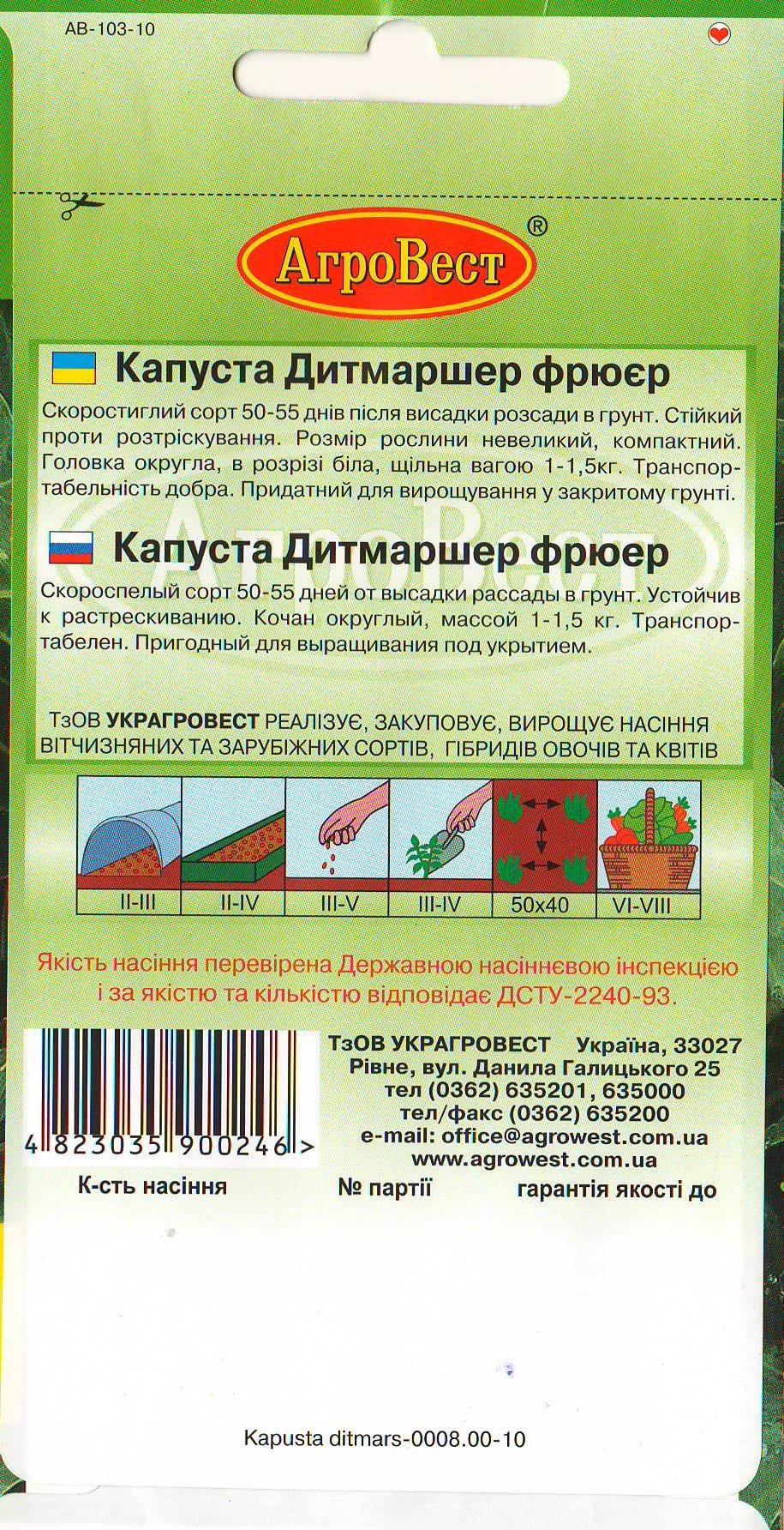 Насіння АгроВест капуста білоголова Дитмаршер Фрюєр 2 г (22118) - фото 2 Насіння АгроВест капуста білоголова Дитмаршер Фрюєр 2 г (22118) - фото 2