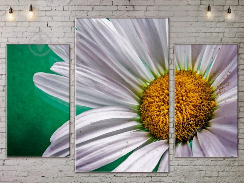 Модульная картина ArtStar цветы Ромашка ADFL0121 размер 120 х 180 см