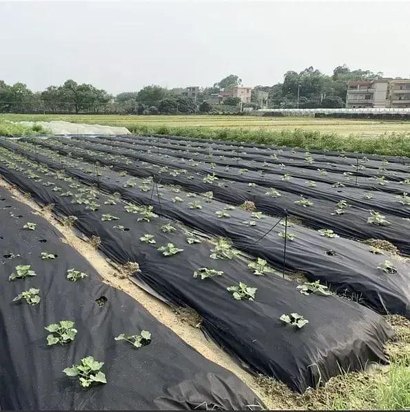 Агроволокно с перфорацией Shadow 50 г/м2 1,07x100 м 2 отверстия Черно-белый (27343186) - фото 5 Агроволокно с перфорацией Shadow 50 г/м2 1,07x100 м 2 отверстия Черно-белый (27343186) - фото 5