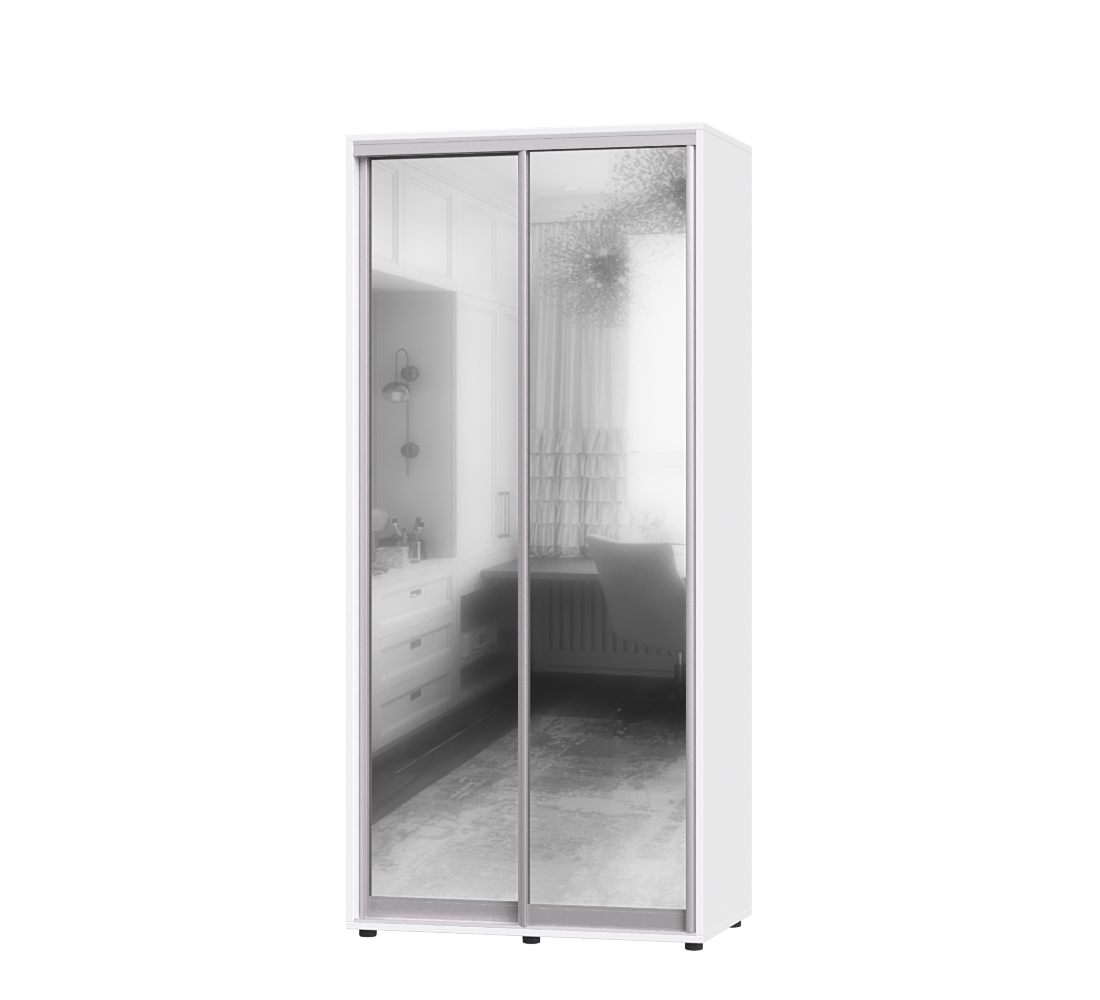 Шкаф-купе двухдверный Эверест ШК-01 100х45х220 см Нимфея Альба (06634)