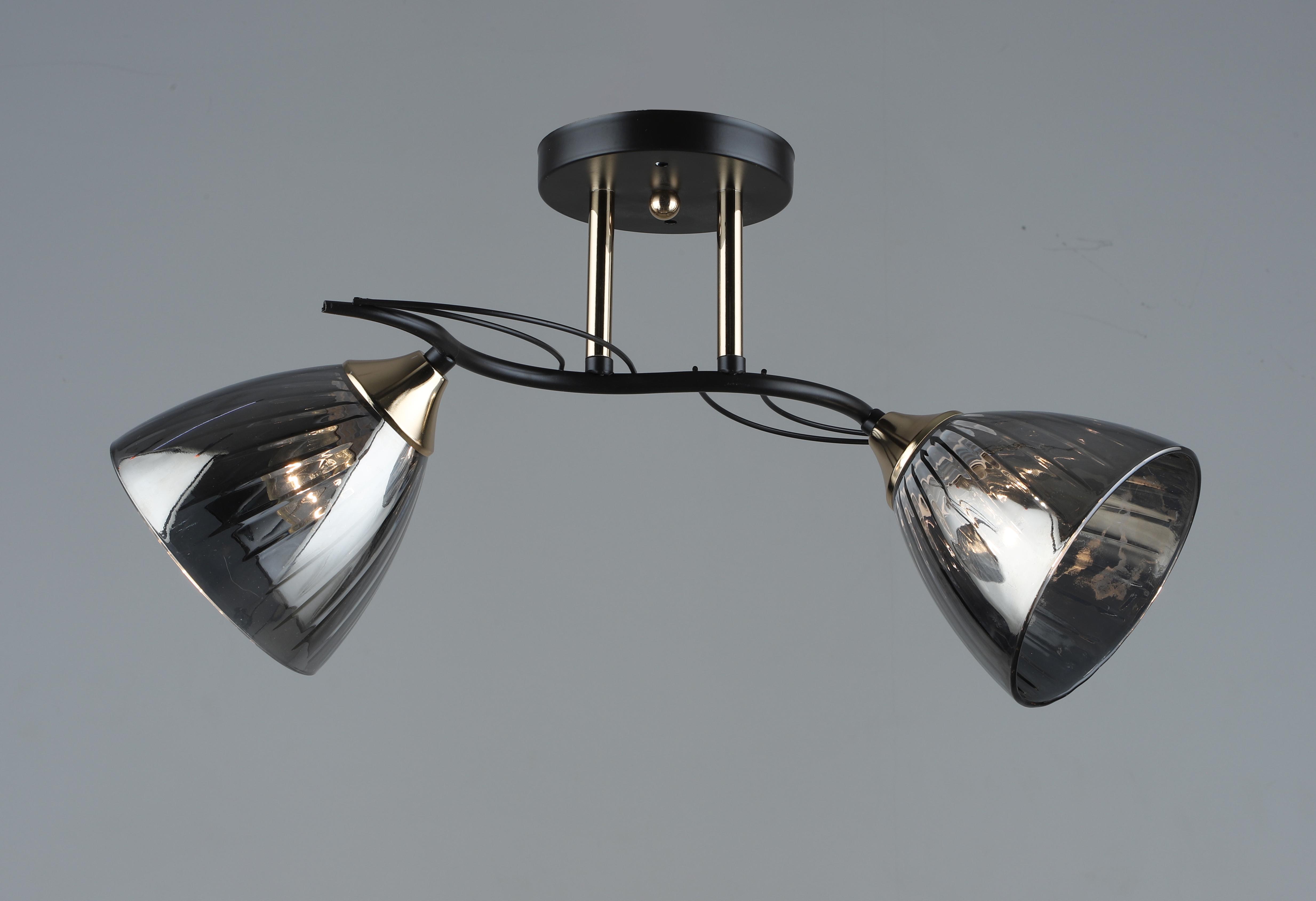 Люстра потолочная Sirius B N5467/2 COFFEE+FGD на 2 плафона (000040562)