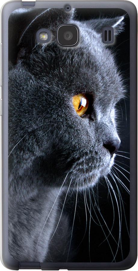 Чехол на Xiaomi Redmi 2 Красивый кот (3038u-98-42517)
