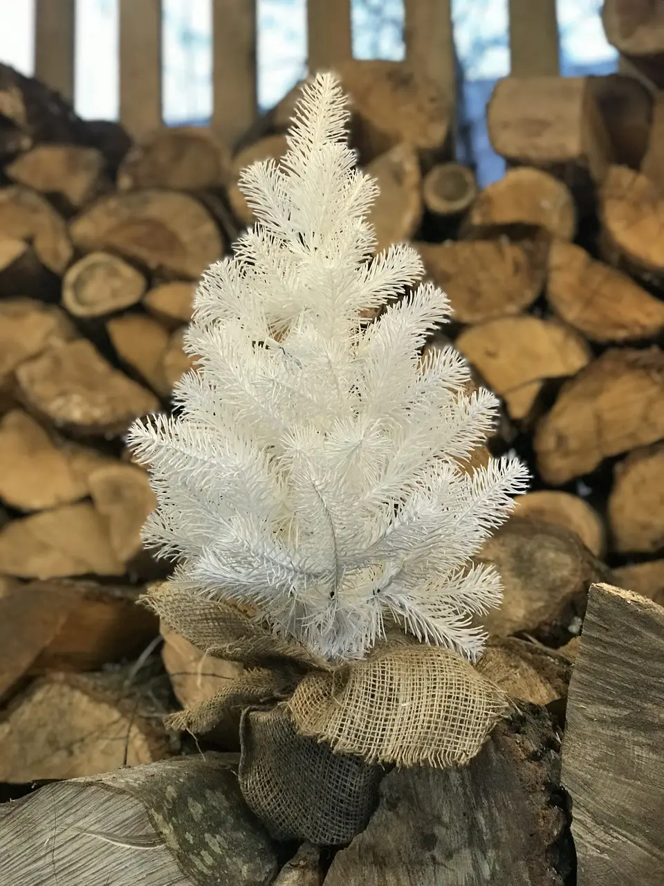 Искусственная елка в горшке 50 см Белый - фото 2 Искусственная елка в горшке 50 см Белый - фото 2